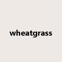 wheatgrass是什么意思