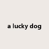 a lucky dog是什么意思