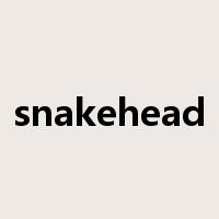 snakehead是什么意思