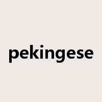 pekingese是什么意思