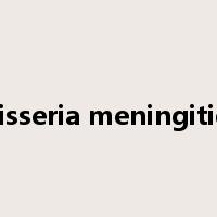 neisseria meningitidis是什么意思