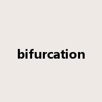 bifurcation是什么意思
