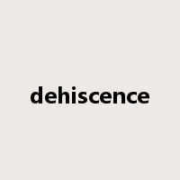 dehiscence是什么意思