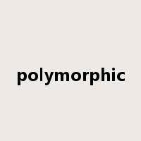 polymorphic是什么意思