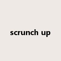 scrunch up是什么意思
