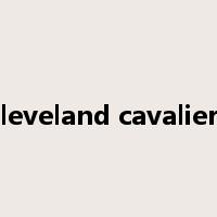 cleveland cavaliers是什么意思