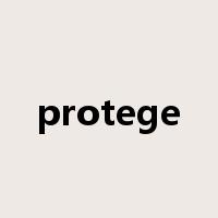 protege是什么意思
