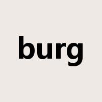 burg是什么意思