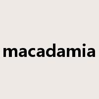 macadamia是什么意思