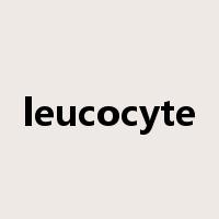 leucocyte是什么意思