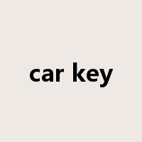 car key是什么意思