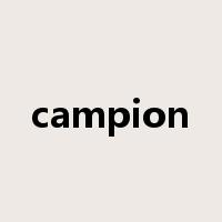 campion是什么意思