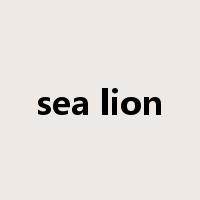 sea lion是什么意思