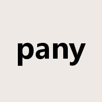 pany是什么意思