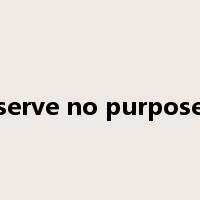 serve no purpose是什么意思
