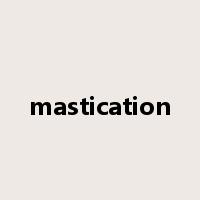 mastication是什么意思