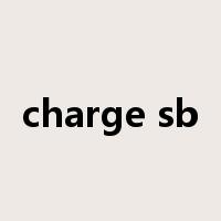 charge sb是什么意思