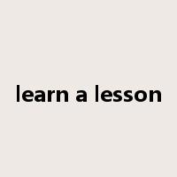 learn a lesson是什么意思