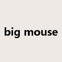 big mouse是什么意思