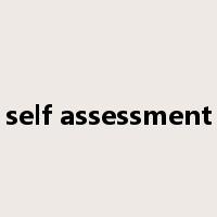 self assessment是什么意思