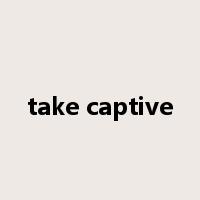 take captive是什么意思