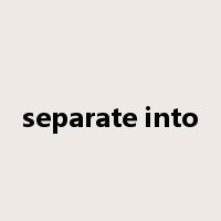 separate into是什么意思