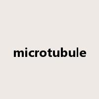 microtubule是什么意思