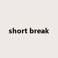 short break是什么意思