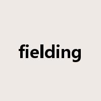 fielding是什么意思