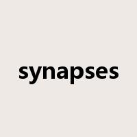 synapses是什么意思