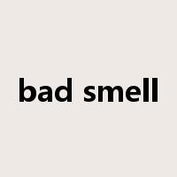 bad smell是什么意思