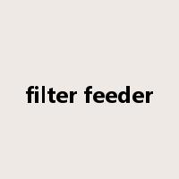filter feeder是什么意思