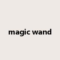 magic wand是什么意思