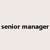 senior manager是什么意思