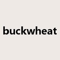 buckwheat是什么意思