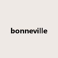 bonneville是什么意思
