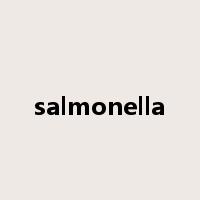 salmonella是什么意思