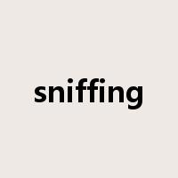 sniffing是什么意思