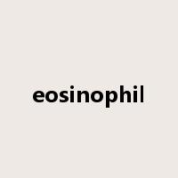 eosinophil是什么意思