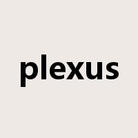 plexus是什么意思