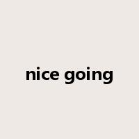 nice going是什么意思