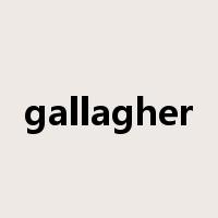 gallagher是什么意思