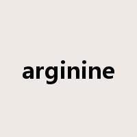 arginine是什么意思