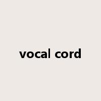 vocal cord是什么意思
