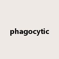 phagocytic是什么意思