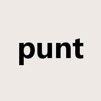 punt是什么意思