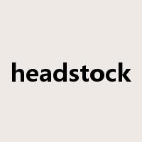 headstock是什么意思