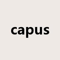 capus是什么意思