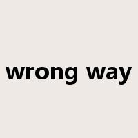 wrong way是什么意思
