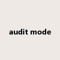audit mode是什么意思